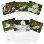 Magnolia Blossoms Beautiful Photographic Floral Calendar<br><div class="desc">A beautiful floral photographic calendar featuring the large graceful white Magnolia blossom. The magnolia tree's flower is the State Flower of Louisiana and Mississippi and is symbolic of the South and symbolizes Luck,  Purity and Stability.

All images are original botanical photography by JLW_PHOTOGRAPHY.</div>