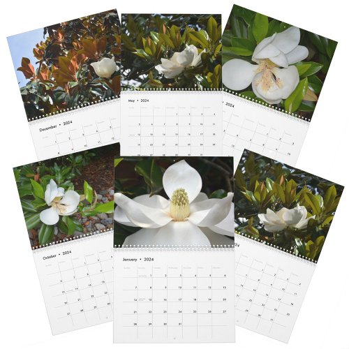 Magnolia Blossoms Beautiful Photographic Floral Calendar