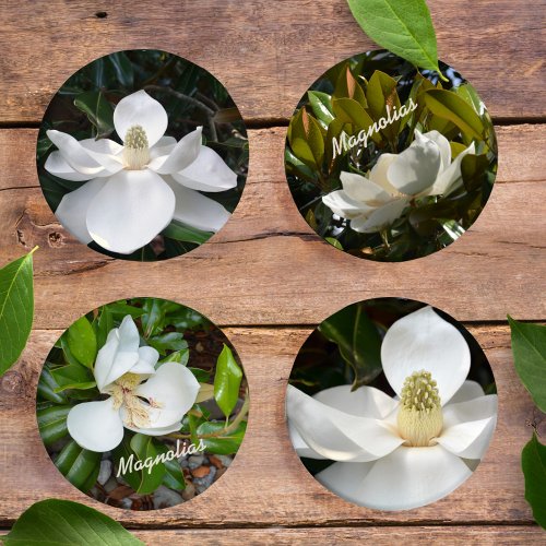 Magnolia Blossoms Beautiful Photographic Floral Coaster Set