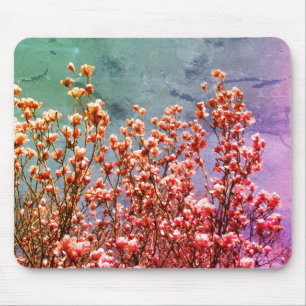 Magnolia Blossoms Blue Sky Flower Art Mouse Pad