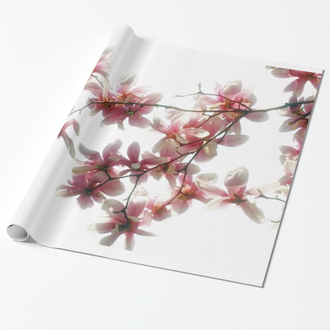 Magnolia Blossoms wrapping paper (Unrolled)