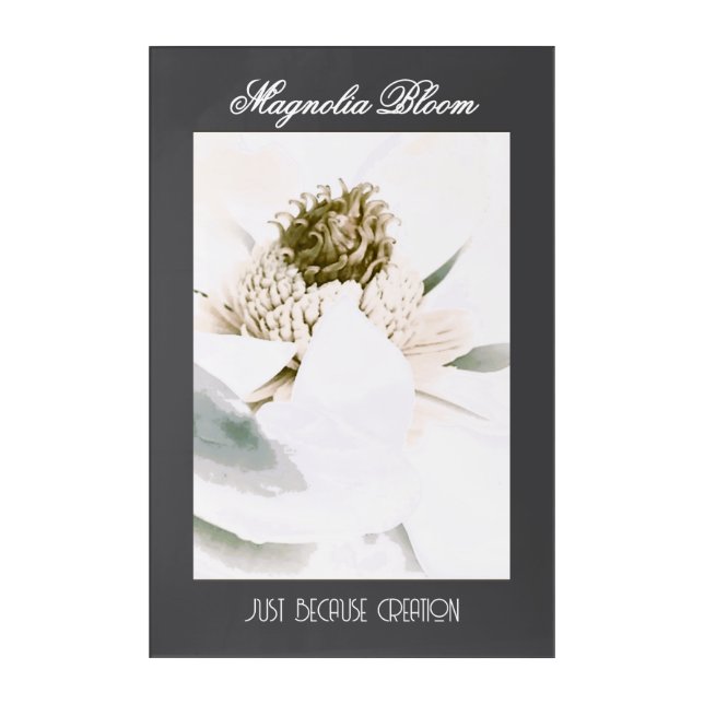 Magnolia Boom  Acrylic Print (Front)