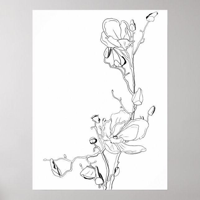 Magnolia Botanical Line Art Poster (Front)