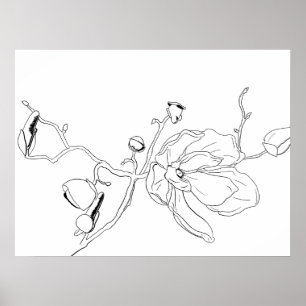 Magnolia Botanical Line Art Poster
