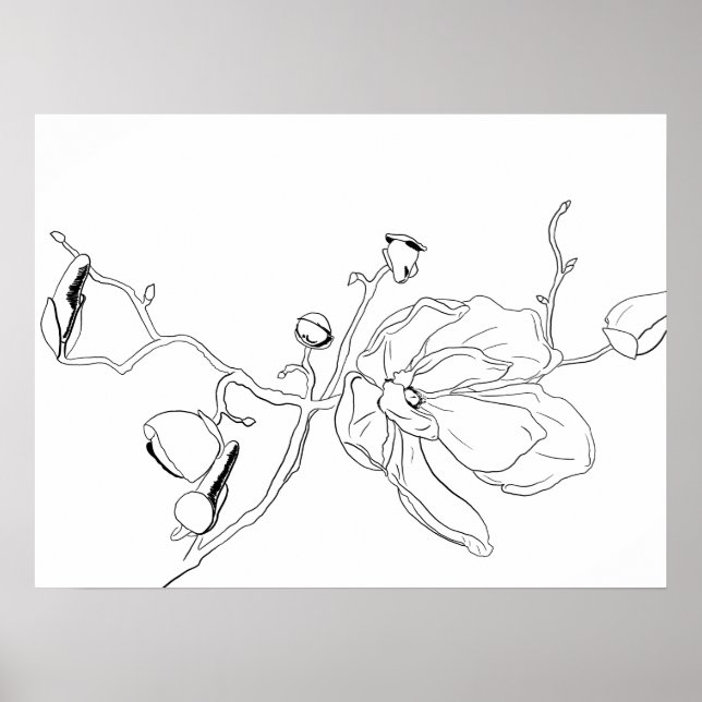 Magnolia Botanical Line Art Poster (Front)
