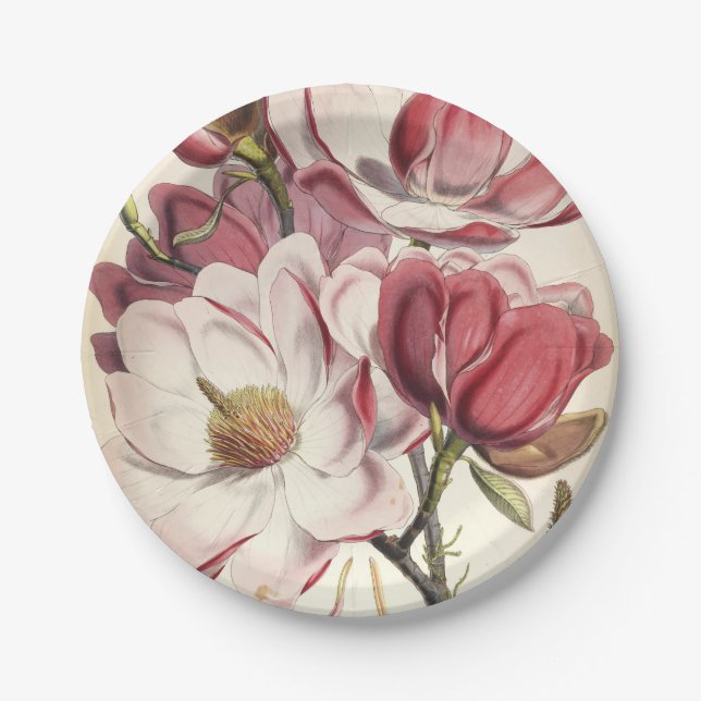 Magnolia - Botanicals Collection Paper Plates (Front)