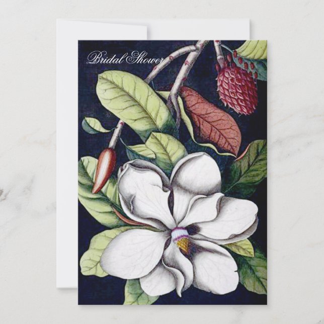 Magnolia - Bridal Shower Invitation (Front)