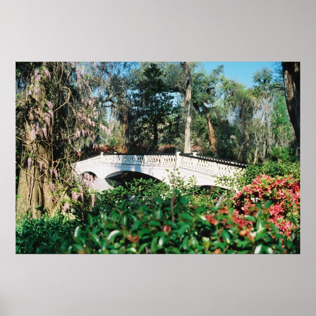 Magnolia Bridge Poster (Front)