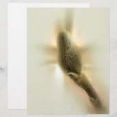 magnolia bud (Front/Back)
