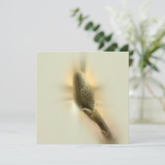 magnolia bud (Standing Front)