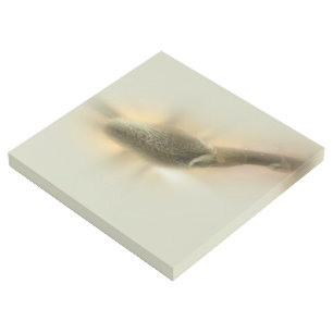 magnolia bud gallery wrap