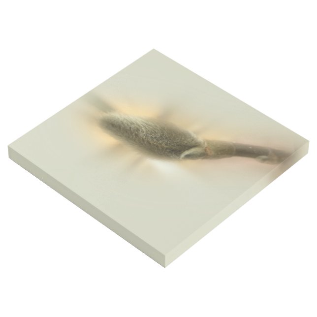 magnolia bud gallery wrap (3/4)