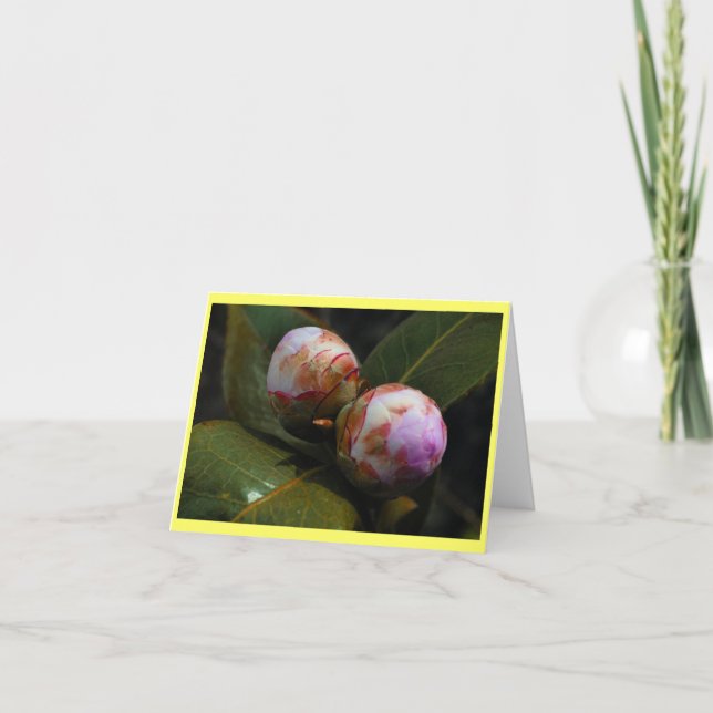 Magnolia Buds Card (Front)