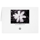 Magnolia Cards (Back Horizontal)