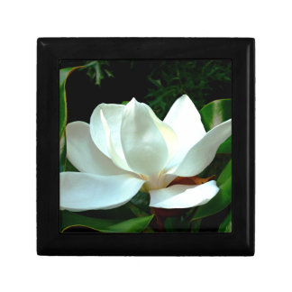Magnolia Closeup Gift Box
