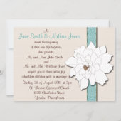 Magnolia Dreams (Front)