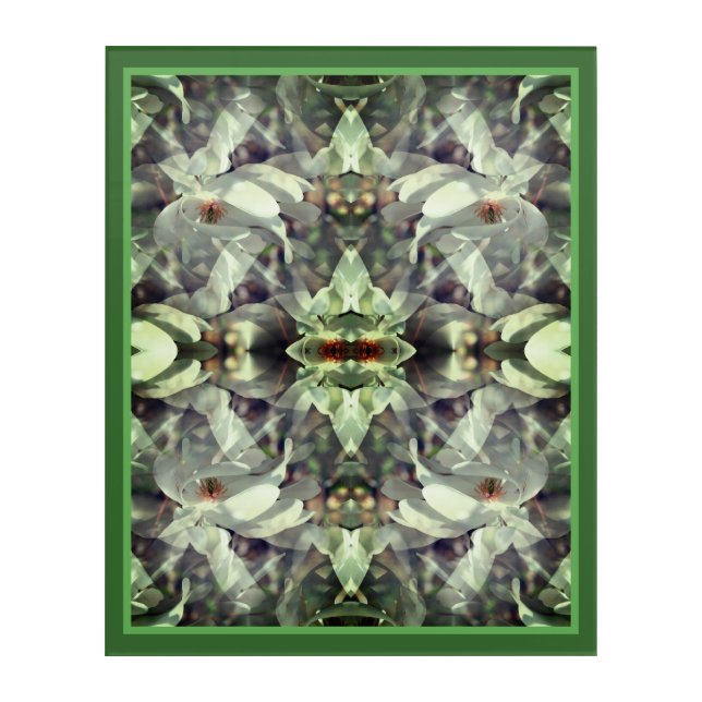 Magnolia Flower Blossoms Abstract  Acrylic Print (Front)