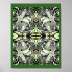 Magnolia Flower Blossoms Abstract Poster
