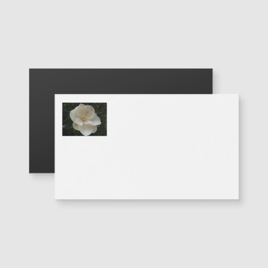 Magnolia Flower Business Cards (Front/Back)