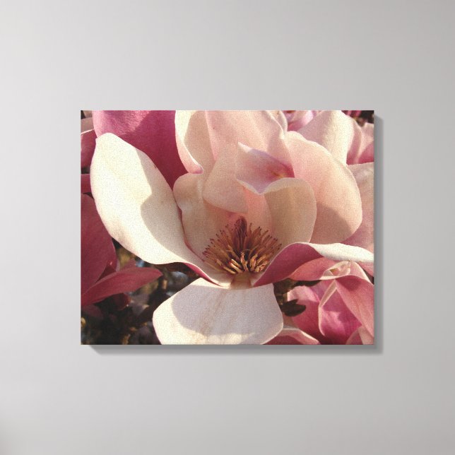Magnolia Flower Canvas Print (Front)