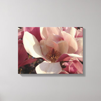 Magnolia Flower Canvas Print