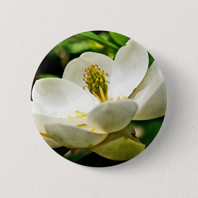 Magnolia Flower Close Up Pinback Button (Front)