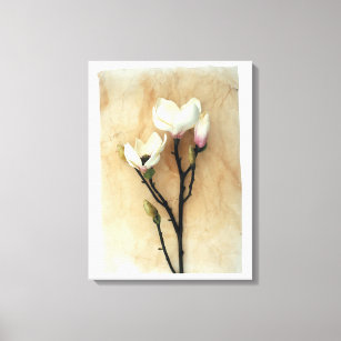 Magnolia Flower Elegance: Stylish Photography Prin Canvas Print