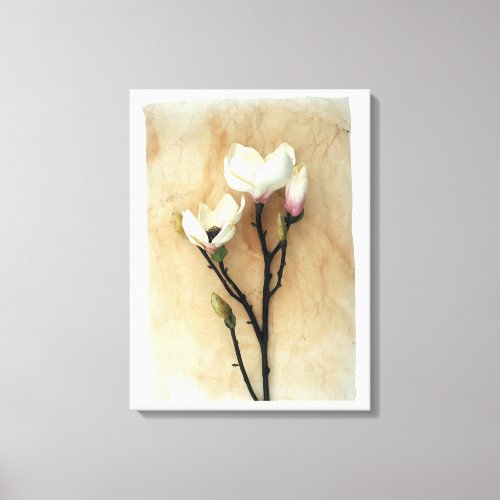 Magnolia Flower Elegance Stylish Photography Prin Canvas Print