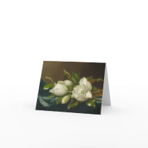 Magnolia flower 
