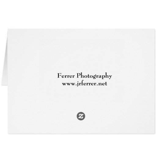 Magnolia Flower on Black (Back Horizontal)