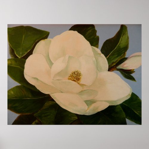  Magnolia Flower Poster 