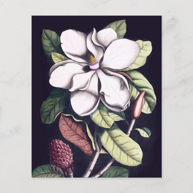 Magnolia Flower Thank You Paper Sheet (Front)