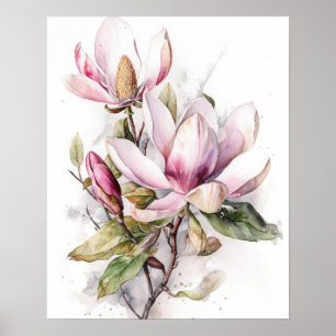 Magnolia Flowers Art Print Poster