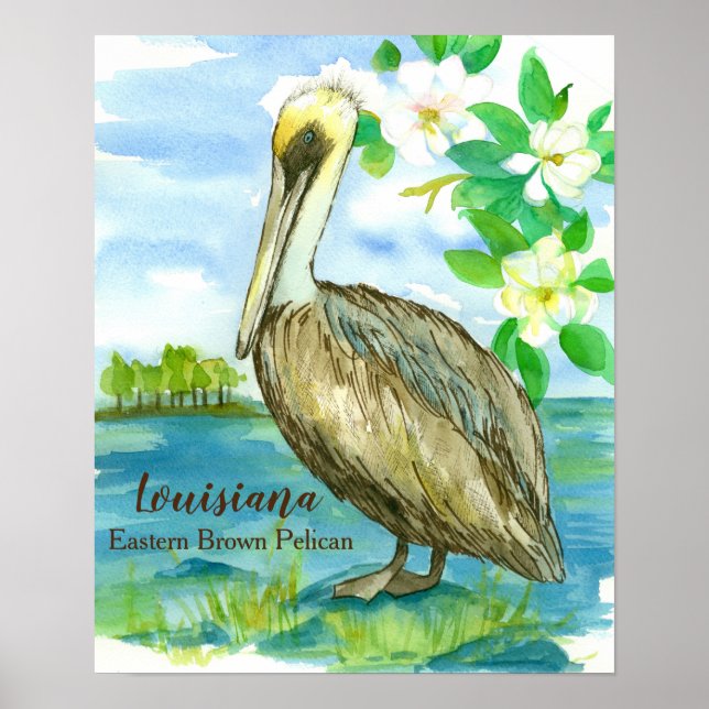 Magnolia Flowers Eastern Brown Pelican Poster (Front)