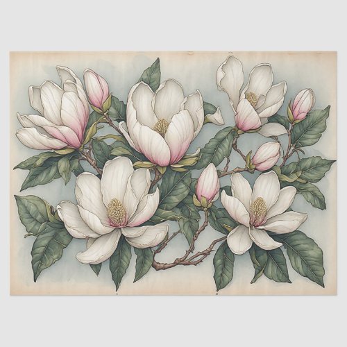 Magnolia Flowers Tissue Paper