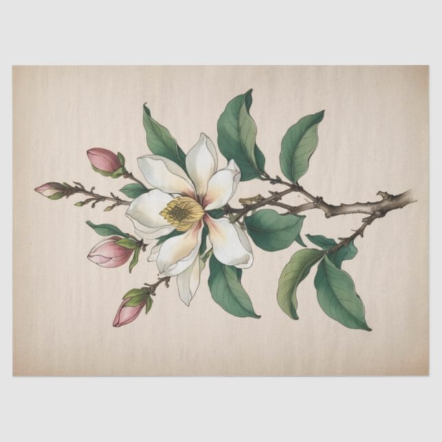 Magnolia Flowers Tissue Paper (Front)