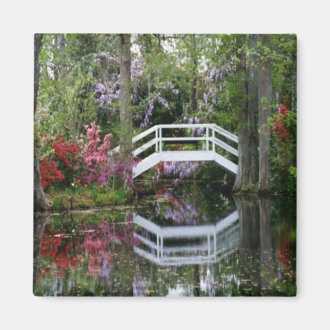 Magnolia Gardens, S.C. Magnet (Front)