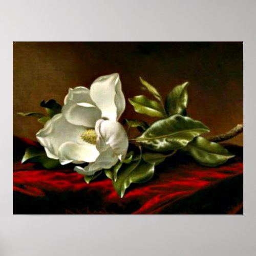 Magnolia Grandiflora_1895_Martin Johnson Heade Poster