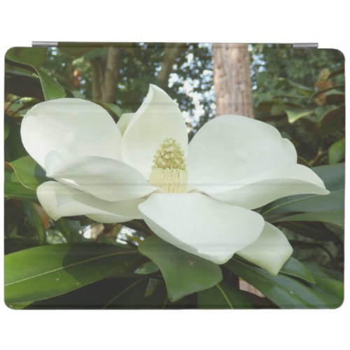 Magnolia Grandiflora iPad Cover