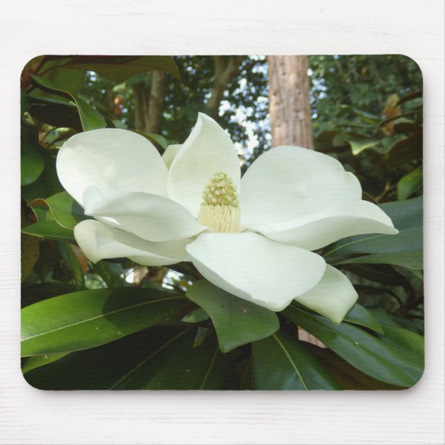 Magnolia Grandiflora Mouse Mat (Front)