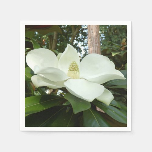 Magnolia Grandiflora Paper Napkins