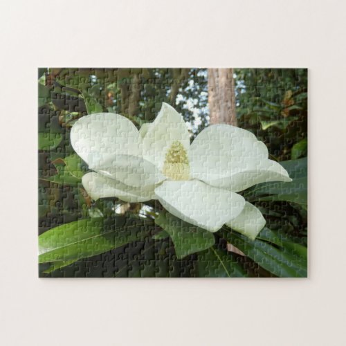 Magnolia Grandiflora Photo Puzzle with Gift Box