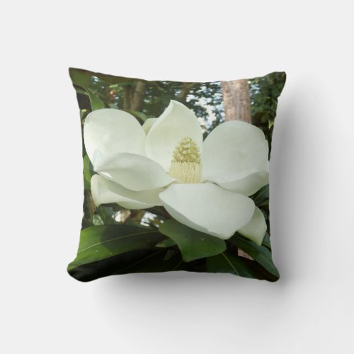 Magnolia Grandiflora Throw Cushion