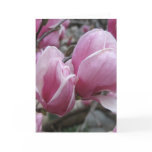Magnolia Greeting Card