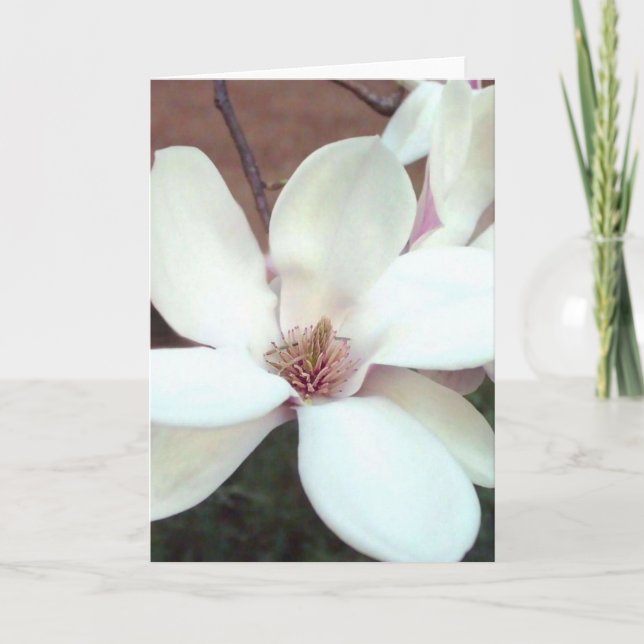 Magnolia Greeting Card (Front)
