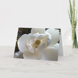 Magnolia Greeting Card