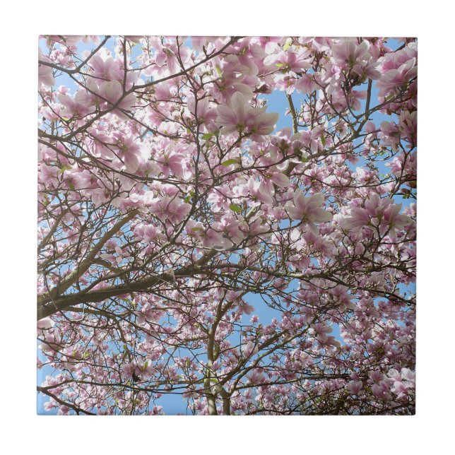 Magnolia in April Ceramic Tile (Front)