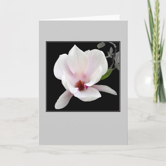 'Magnolia in Bloom' Blank Note Card (Front)