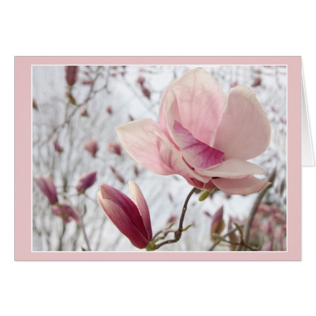Magnolia In Pink Cards (Front Horizontal)