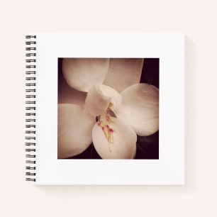 Magnolia Journal